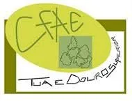 parcer05-efe8a92f-1920w